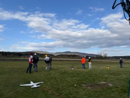 whatsapp image 2026-03-29 at 10.10.18 1